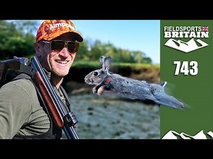 Fieldsports Britain – Red dot rabbits