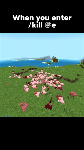 When you enter… Minecraft #shorts