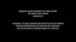 Shutter Island 2010 r Lektor PL