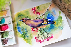 Bohemian Waxwing in Watercolor: Blending, Details & Soft Backgrounds | Anna Krupa | Skillshare