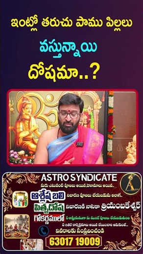 ఇంట్లో తరచు పాము పిల్లలు వస్తున్నాయి #AstroSyndicate #shiorts #ytshorts
