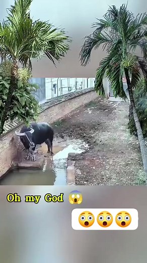 1.2K reactions · 2.1K shares | Da kapoy overlay #fypviralシfyp2024 #fbreels2024 #followersシ゚ #sfypシ゚ #fbreelsfypシ゚ #viralreels #fbreels #CttoRepost @ | Reymart Jay Saplid | Facebook