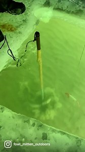 Spearing northern pike in Michigan #bowfish #fishing #survival #offgrid #spearing #challenge #chevy #country #refneck #adventure #BVIRAL | Caught Outdoors