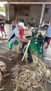 In Action: Hands-on Demonstration on the Proper Use of the Modified Portable Abaca Spindle Stripping Machine Delivered to the Amguhan Farmers Association, Brgy. Amguhan, Baybay City #hiblabida #fiberindustry #mpassm #abaca #abacafiber | Philfida VIII, Eastern Visayas