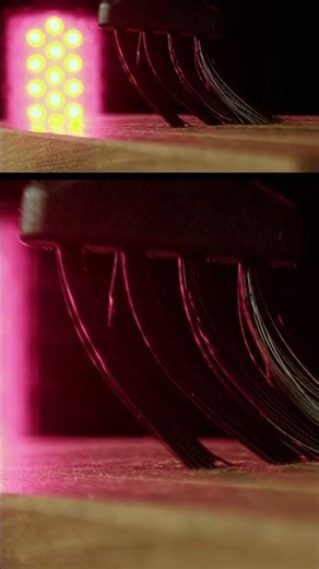 Brain Scratch! Subscribe for more! #asmr