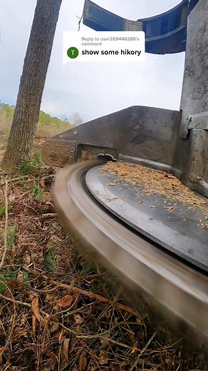 Replying to @user269446286 here you a hickory. You can hear the saw bog down #33333trees #catchloggermack #cutterman830 #tigercatforestry #cutterman #goprohero9 #equipment #huntingstand