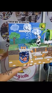 25K views · 317 reactions | Maquetas en material de reciclaje... #Ciclodelagua #ciclodelnitrogeno #ciclodelcarbono Pedidos vía wp 3162741189 | Manitos Magicas | Facebook