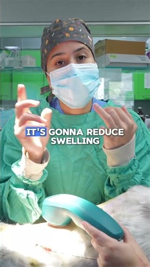 The Most Overlooked Risk in Pet Surgery! 😱