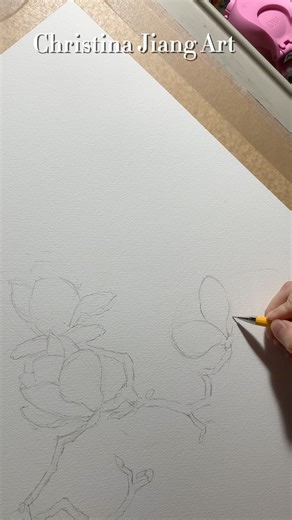 How to drawing the Magnolia in pencil #drawing #pencildrawing #flowers #magnolia #stepbystep