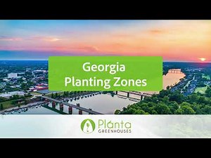 Georgia Planting Zones – Planta Greenhouses