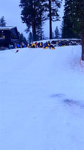 Vaio Delfinu (@vaio.delfinu3)’s videos with original sound - Vaio Delfinu