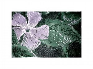 Introduction to Journal Six