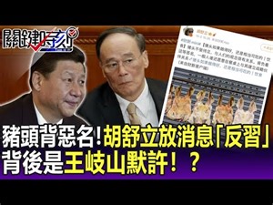 【關鍵精華】豬頭「不受待見」背負惡名 胡舒立放消息「反習」 背後是王岐山默許！？ -劉寶傑
