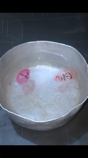 Writing "T" in Cursive Writing | #shorts #calligraphy