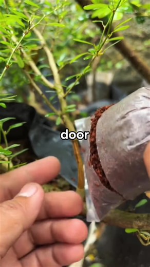 Engaging Conversations on Reddit: Explore the Ask Reddit Community