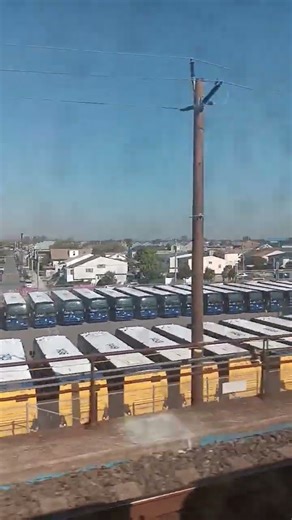 nova bus think he sneaky