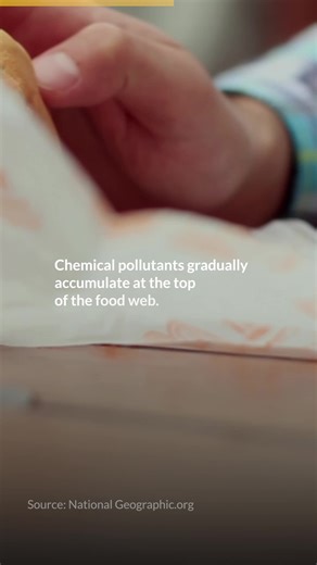 How does land pollution affect us? Keep watching to learn more about land pollution, and how healthy land is important to support a thriving ecosystem to sustain life. We are fully dependent on land, making it our responsibility to protect it and ensure the continuity of life on our planet Earth. #HumanisingFinancialServices #ForceForGood #ESG | Maybank