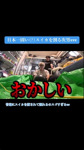 兄弟でスイカ割り！笑い満載の夏の遊び