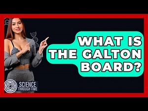 What Is The Galton Board? - Science Through Time