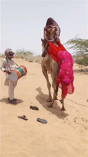 مشهد غريب في عرس بالصحراء 🐪💃 عروستان ترقصان على إيقاع الطبل بطريقة غير متوقعة!