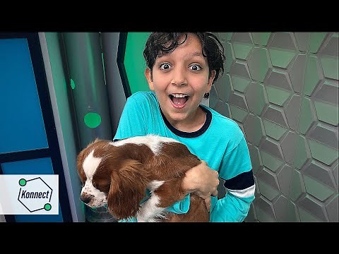 How to Hope | KONNECT HQ | S11E07