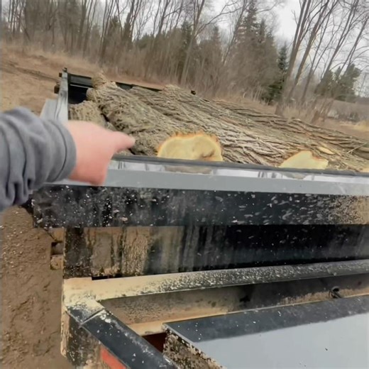 Loading Black Locust Saw Logs Into Dump Trailer #loader #dumptrailer #selling #hardwood #logs