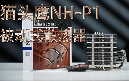 好大一坨的猫头鹰NH-P1无风扇被动散热器评测