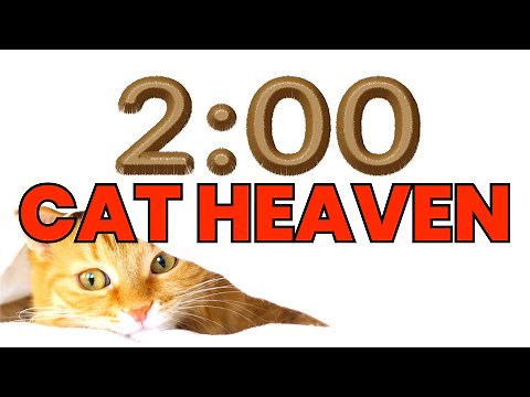 2 Minute Timer (CATS) 🐱