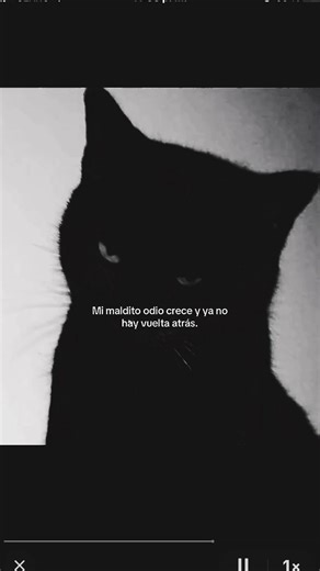 Understanding the Meaning Behind 'El negro no es solo un color'