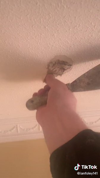 Ian Foley on TikTok
