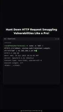 Hunting for HTTP Request Smuggling Vulnerabilities (CL.TE / TE.CL)