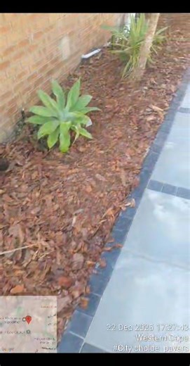 it was a pleasure to work with Mr Dauw in brackenfell, we shared happiness and ideas finally we change the yard with the most beautiful landscape solution which I had done in Capetown. we provide quality guaranteed jobs with the most reliable team.happy 2026 we can improve each and every job we do thank you for your support. | City Choice Pavers