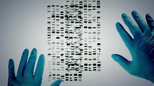 Dna Match Successful Slides Matched Close Stock Footage Video (100% Royalty-free) 3455748595 | Shutterstock