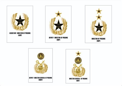 Check out the five new ranks introduced by Ghana Prisons Service