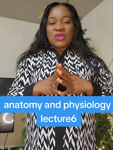 Understanding the Hypothalamus and Pituitary Gland Functions