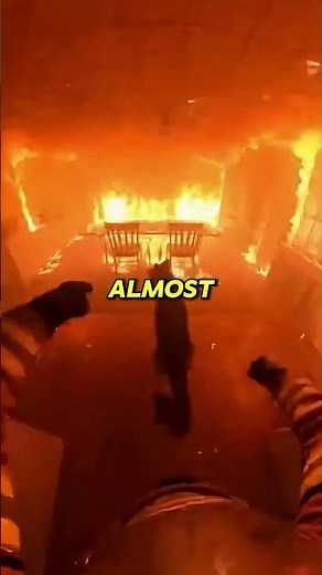 Dog Leads Firefighter In A Burning House To Save A Cute Cat!