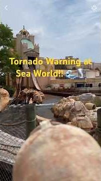 🌊 Our SeaWorld Orlando adventure turned into something we never expected…