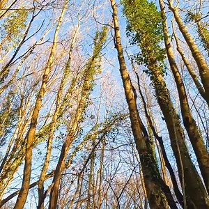 27K views · 486 reactions | I Built a Super Dugout in the Forest With my own Hands, a Log Cabin, Craft Skills.#survival #adventure #wilderness #camping #bushcraftcamping​ #logcabin #cabin | Mountain Cabins | Facebook