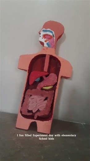 Digestive System | Class 9 Biology Project | Human Digestive System Explained