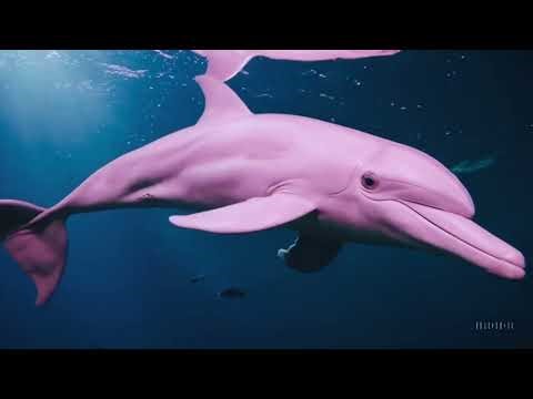 Calming Music For Kids | Sleep & Relaxation | Gentle Sounds to Reduce Anxiety & Improve Focus 🌙