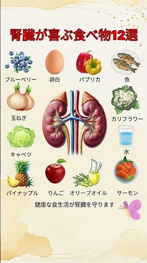 腎臓に良い食べ物12選 #腎臓#腎臓健康#腎臓に良い食べ物#健康食#健康習慣#健康情報#健康管理#食事改善