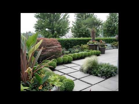 Les meilleures idées de design de jardin tropical