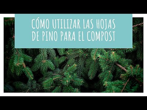 Cómo utilizar las hojas de pino para el compost | HUERTA ECOLÓGICA