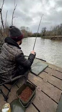 Method Feeder Fishing For Hybrid Carp 👀🎣 These Things Are Nuts! 🤪 #carpfishing #fishing