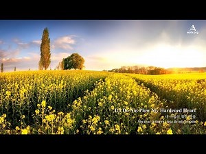 〖NEW SONG〗If I Do Not Plow My Hardened Heart, 내 마음의 묵은 땅을 ▷ Church of God, 하나님의 교회