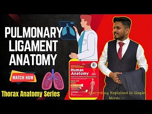 Pulmonary Ligament Anatomy🫁 | Thorax Anatomy Series📚 | Anatomy Series ✅