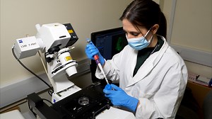 Human Ex vivo Wound Model and Whole-Mount Staining Approach to Accurately Evaluate Skin Repair