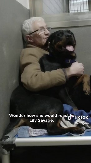 Paul O’Grady loved dogs, and dogs loved Paul O’Grady ❤️ (📺: Paul O’Grady: For The Love of Dogs) #paulogrady #fortheloveofdogs #lilysavage