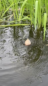 998K views · 3.4K reactions | Float Fishing | MR Fishing Life | Facebook