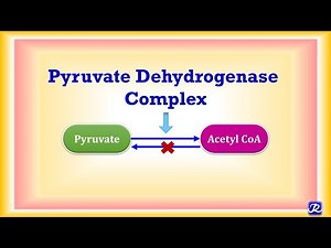 10: Pyruvate Dehydrogenase Complex | Carbohydrate Metabolism -10 | Biochemistry | N'JOY Biochemistry